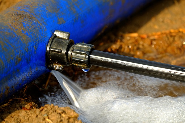 Types of Plumbing Leaks That Require A Professional