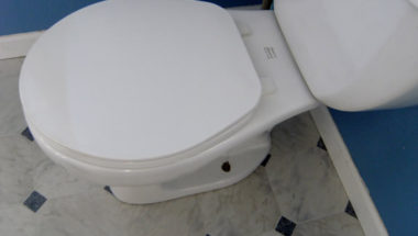 Toilet Replacement Services in The Woodlands TX