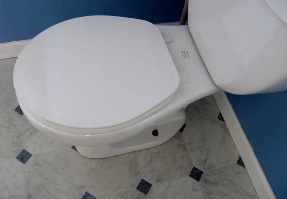 Toilet Replacement Services in The Woodlands TX